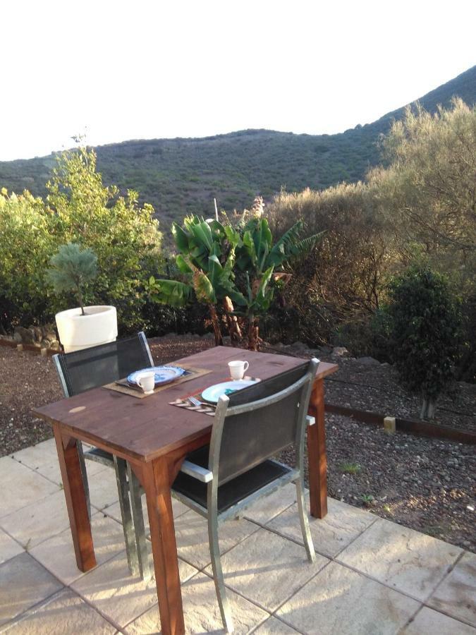 Casa Vista Bandama Vivienda Vacacional Tafira Exteriör bild